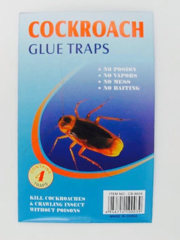 Cockroach Glue Traps