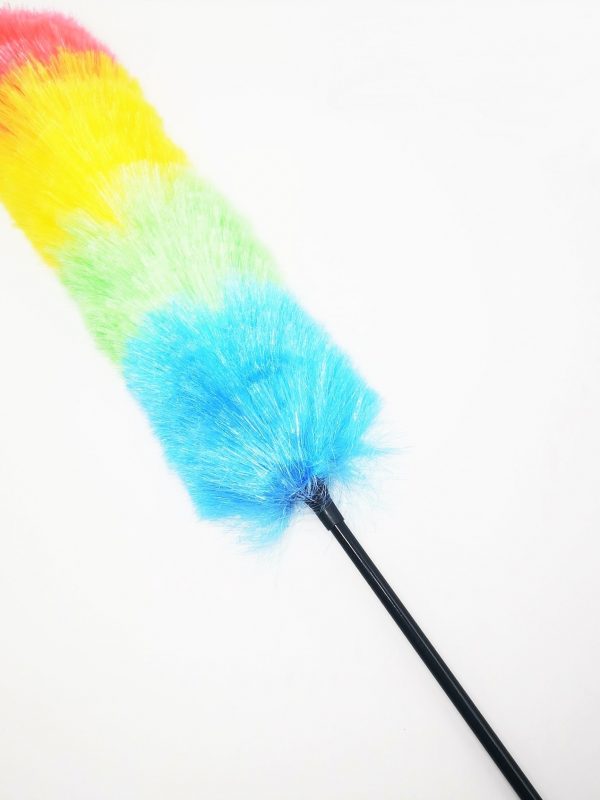 Multi Color Feather Duster
