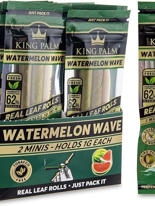 King Palm Mini Watermelon Wave