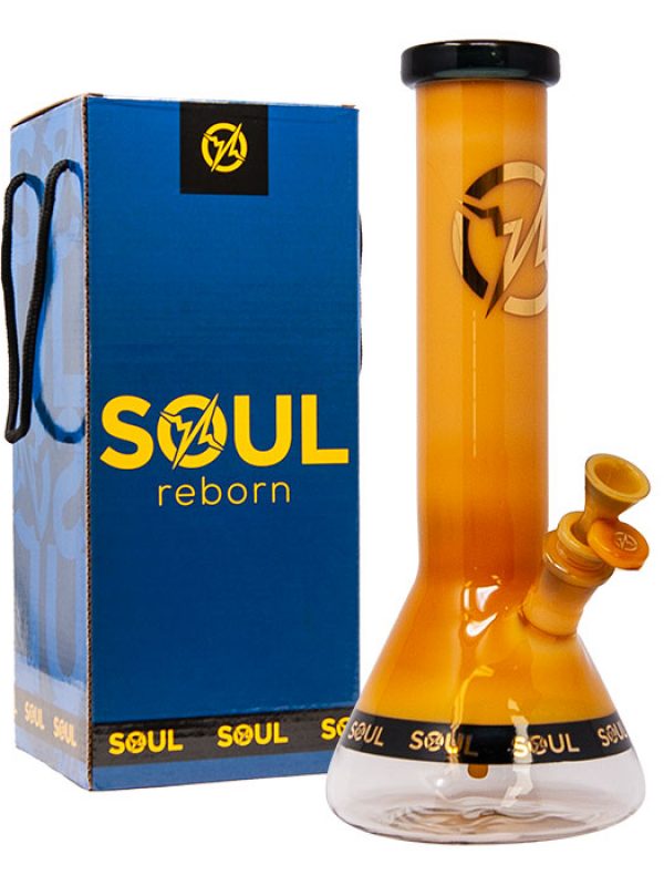 Soul Reborn Series