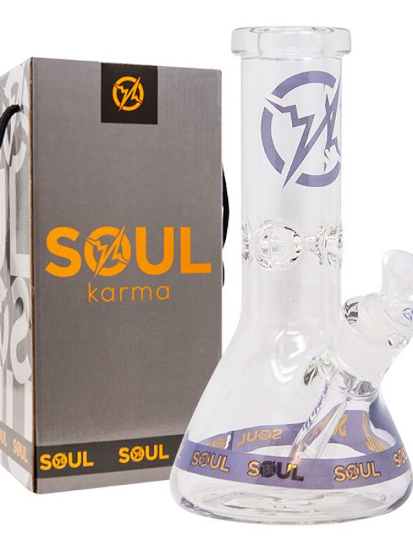 Soul Karma Series